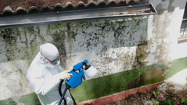 Top rated local Mold Remediation specialists in Thompsontown, PA